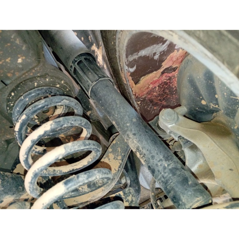 Recambio de amortiguador trasero derecho para volkswagen tiguan (ad1, ax1) 2.0 tdi referencia OEM IAM   