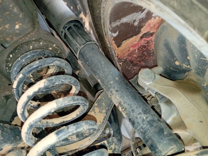 Recambio de amortiguador trasero derecho para volkswagen tiguan (ad1, ax1) 2.0 tdi referencia OEM IAM   