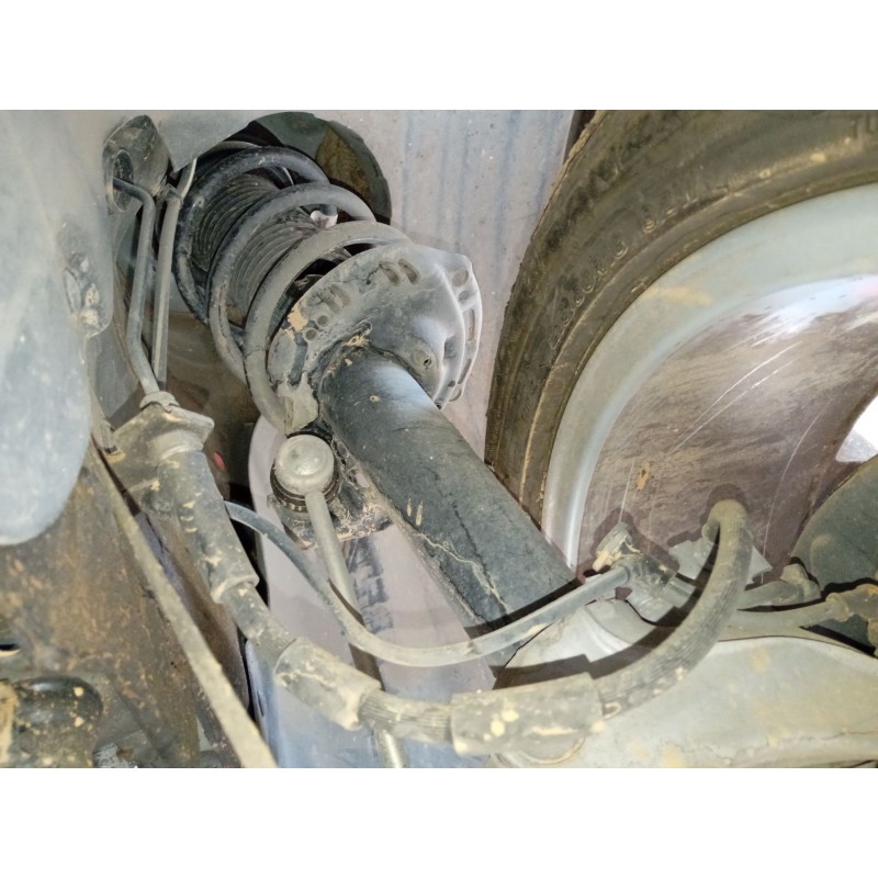 Recambio de amortiguador delantero derecho para volkswagen tiguan (ad1, ax1) 2.0 tdi referencia OEM IAM   