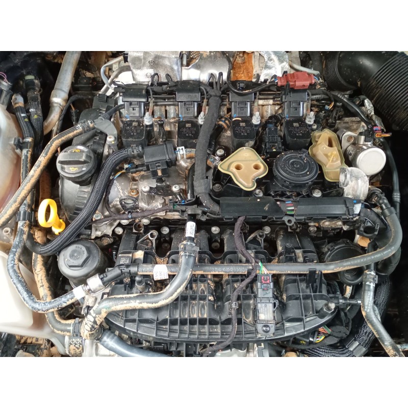 cupra ateca (kh7, khp, kbp) del año 2022