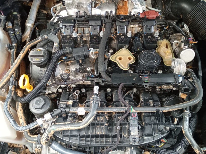 cupra ateca (kh7, khp, kbp) del año 2022