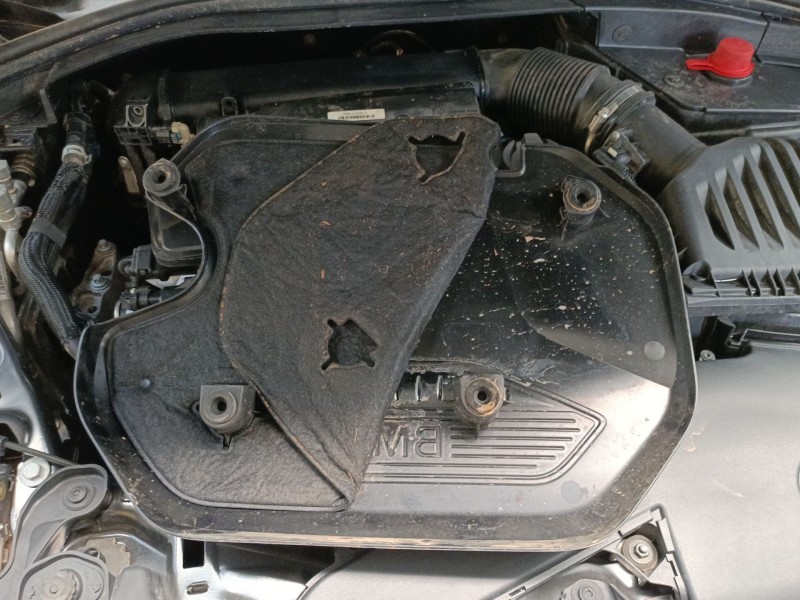 Recambio de tapa motor para bmw 1 (f40) 116 d referencia OEM IAM   