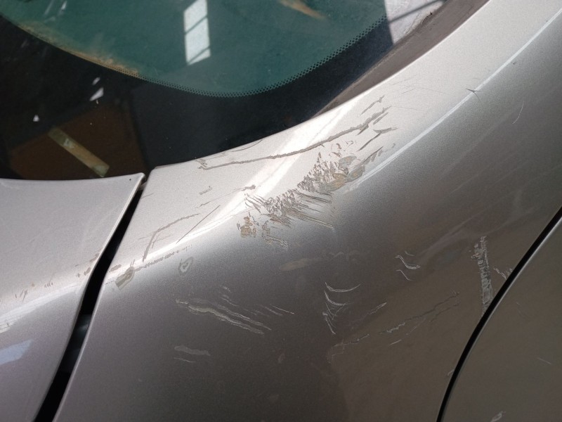 Recambio de aleta delantera izquierda para nissan juke (f15) 1.5 dci referencia OEM IAM   