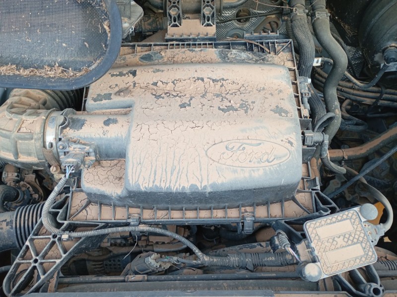 ford transit v363 furgoneta (fcd, fdd) del año 2023