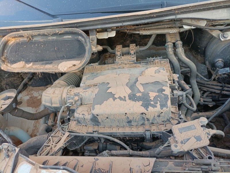 ford transit v363 furgoneta (fcd, fdd) del año 2020