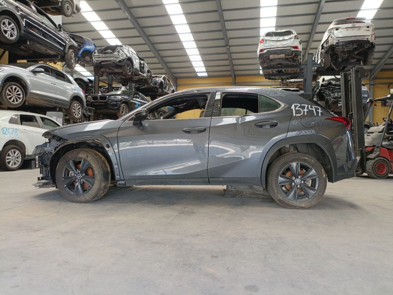 lexus ux (_aa1_,_ah1_,_ma1_) del año 2024