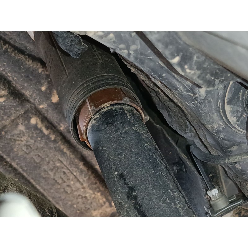 Recambio de amortiguador trasero derecho para lexus ux (_aa1_,_ah1_,_ma1_) 300h (mzaa10) referencia OEM IAM   