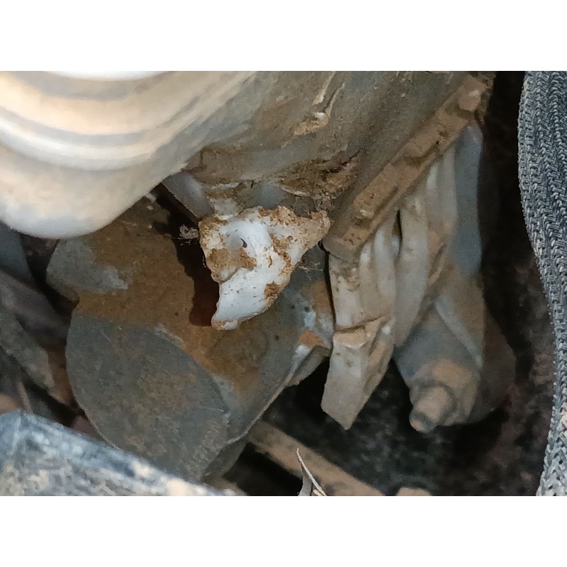 Recambio de bomba freno para fiat doblo autobús (263_) 1.6 d multijet (263axp1b) referencia OEM IAM   