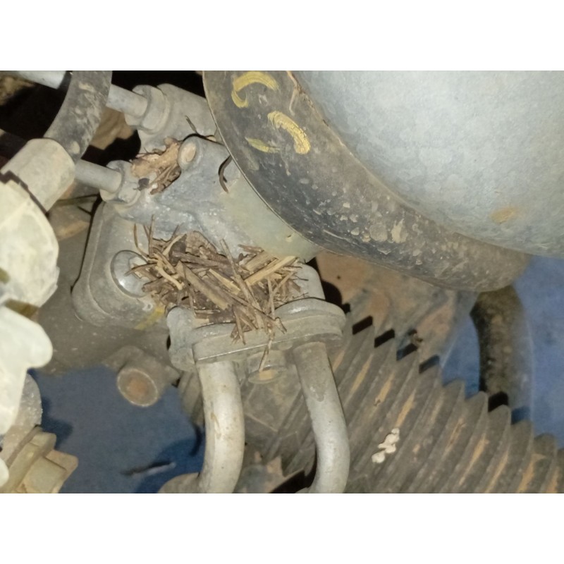 Recambio de cremallera direccion para renault express furgoneta/monovolumen 1.5 blue dci 75 (f6aa) referencia OEM IAM   