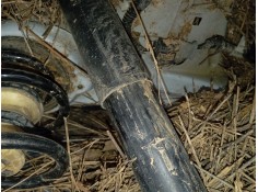 AMORTIGUADOR TRASERO IZQUIERDO 