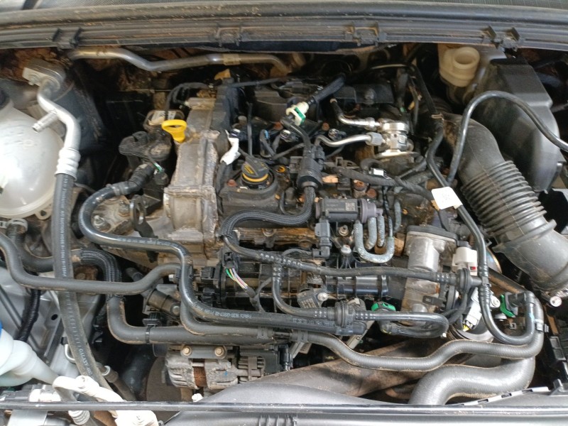 ford puma (j2k, cf7) del año 2023