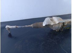 Recambio de cremallera direccion para volkswagen tiguan allspace (bw2, bj2) 2.0 tdi 4motion referencia OEM IAM 5Q01423105G   2