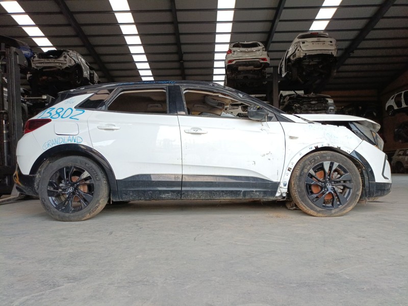opel grandland / grandland x (a18, p1uo) del año 2022