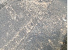 Recambio de salpicadero para renault express furgoneta/monovolumen 1.5 blue dci 75 (f6aa) referencia OEM IAM    2