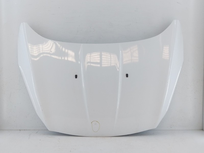 Recambio de capot para ford kuga ii (dm2) 2.0 tdci 4x4 referencia OEM IAM   