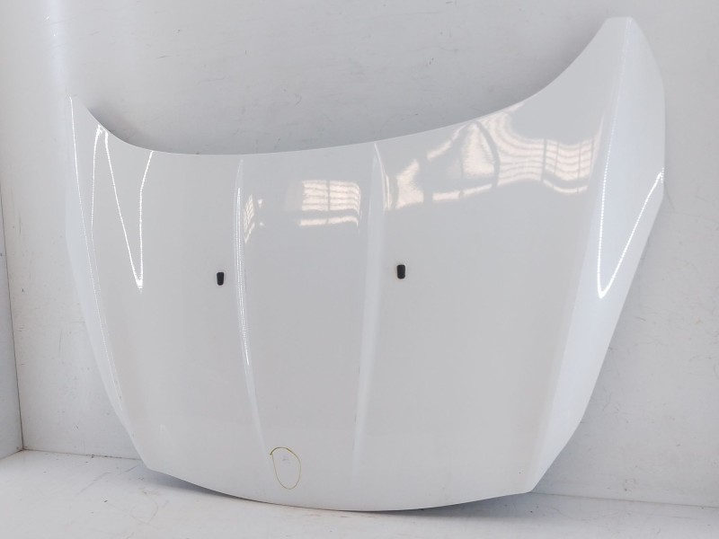 Recambio de capot para ford kuga ii (dm2) 2.0 tdci 4x4 referencia OEM IAM   