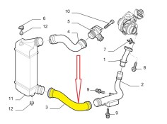 Recambio de manguito intercooler para citroën jumpy 2.0 hdi cat (rhk / dw10uted4) referencia OEM IAM 521416 NUEVO T1-5-B7-4