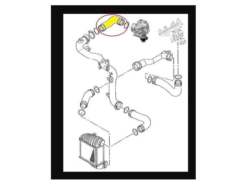 Recambio de manguito intercooler para seat leon (1m1) referencia OEM IAM 523039 NUEVO T1-5-B3-4