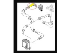 Recambio de manguito intercooler para seat leon (1m1) referencia OEM IAM 523039 NUEVO T1-5-B3-4