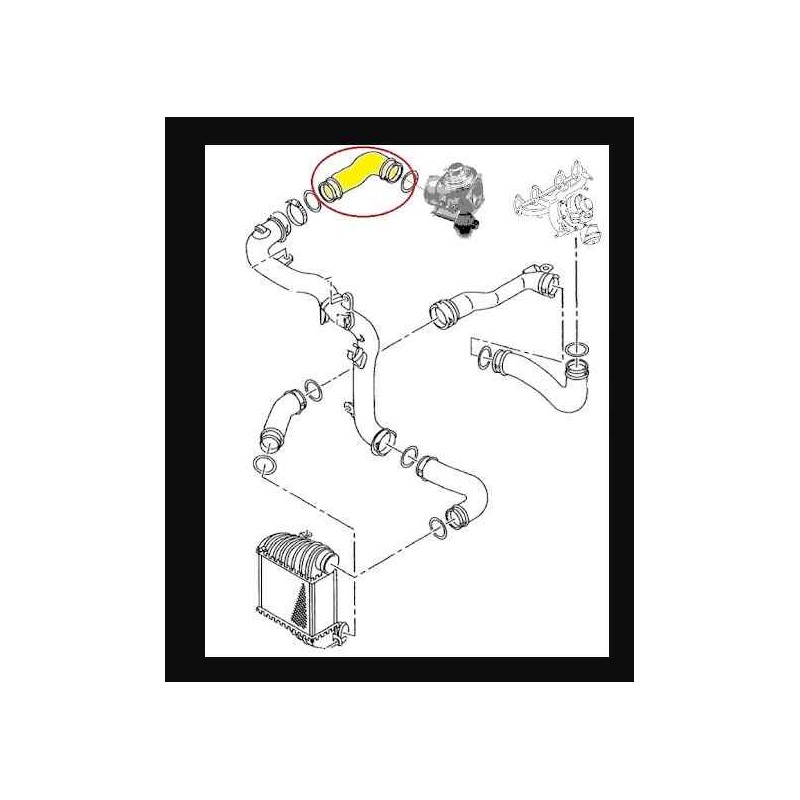 Recambio de manguito intercooler para seat leon (1m1) referencia OEM IAM 523039 NUEVO T1-5-B3-4