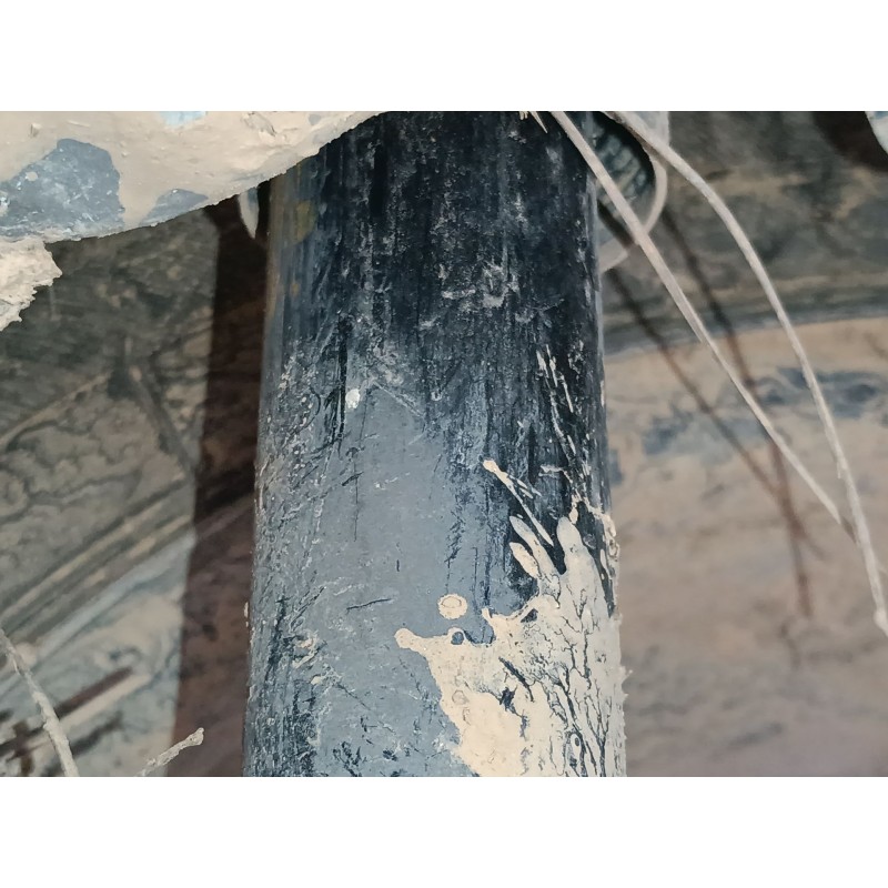 Recambio de amortiguador trasero derecho para citroën c3 ii (sc_) 1.4 hdi 70 (sc8hzc, sc8hr0, sc8hp4) referencia OEM IAM   