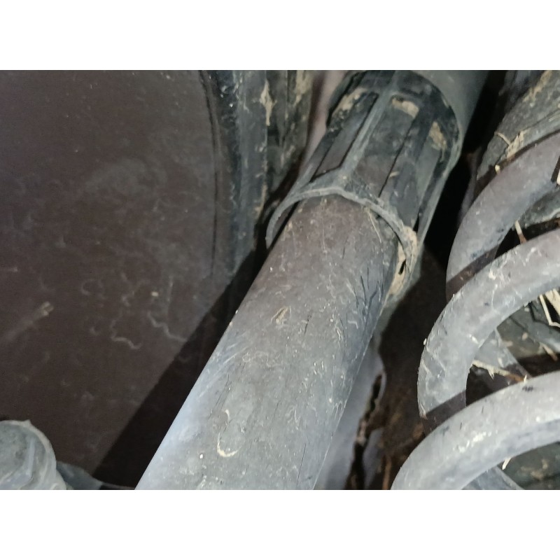 Recambio de amortiguador trasero izquierdo para volkswagen touran (5t1) 2.0 tdi referencia OEM IAM   