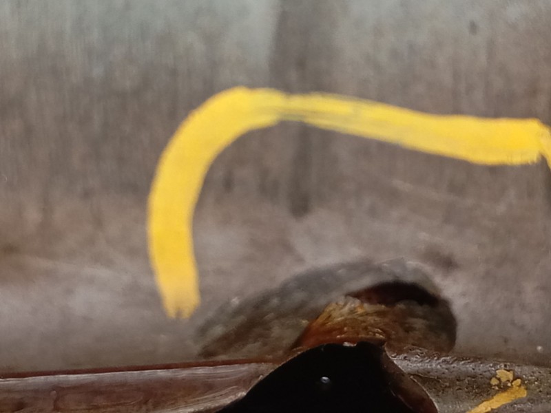 Recambio de motor completo para fiat 500x (334_) 1.6 (334axe1a) referencia OEM IAM   