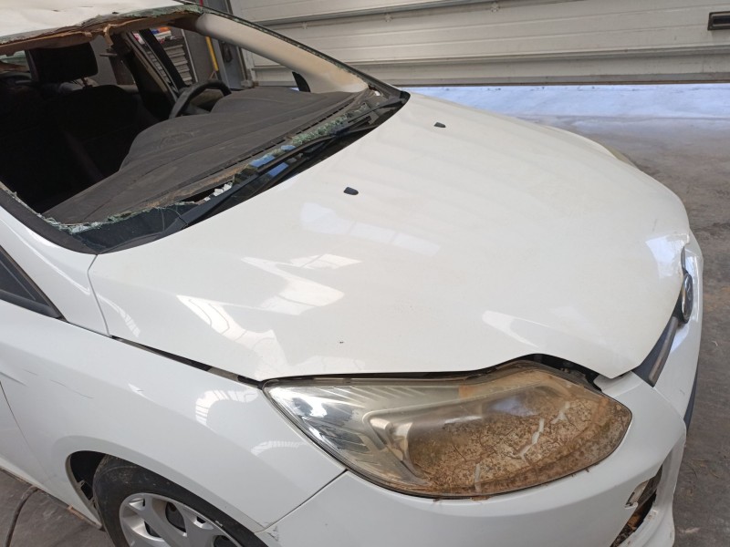 Recambio de capot para ford focus iii sedán 1.6 tdci referencia OEM IAM   