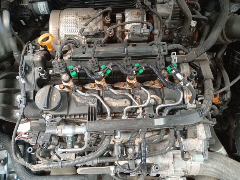 kia sportage iv (ql, qle) del año 2019