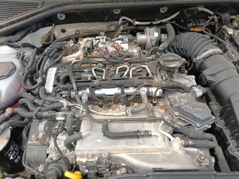 volkswagen t-roc (a11, d11) del año 2023