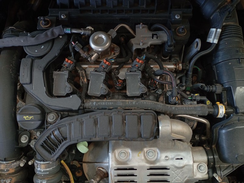 opel corsa f (p2jo) del año 2024