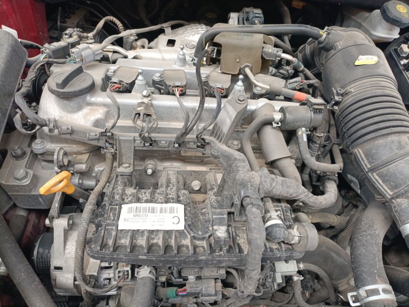 kia ceed (cd) del año 2020