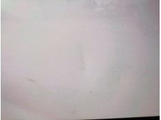 Recambio de porton trasero derecho para nissan nv300 furgoneta (x82) 1.6 dci 120 referencia OEM IAM    2