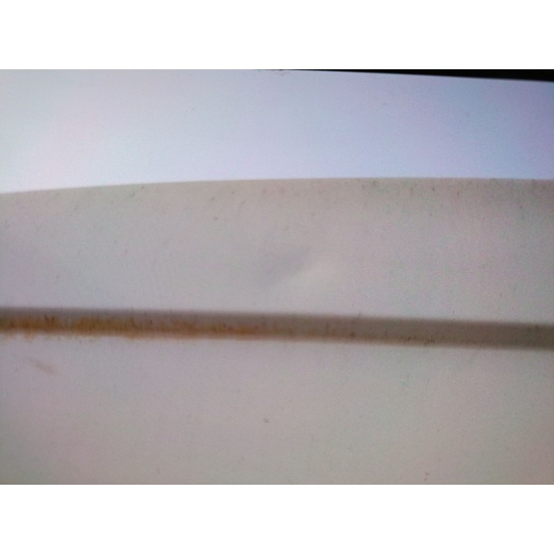 Recambio de porton trasero izquierdo para nissan nv300 furgoneta (x82) 1.6 dci 120 referencia OEM IAM   