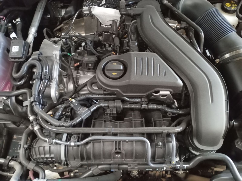 skoda octavia nx3 del año 2024