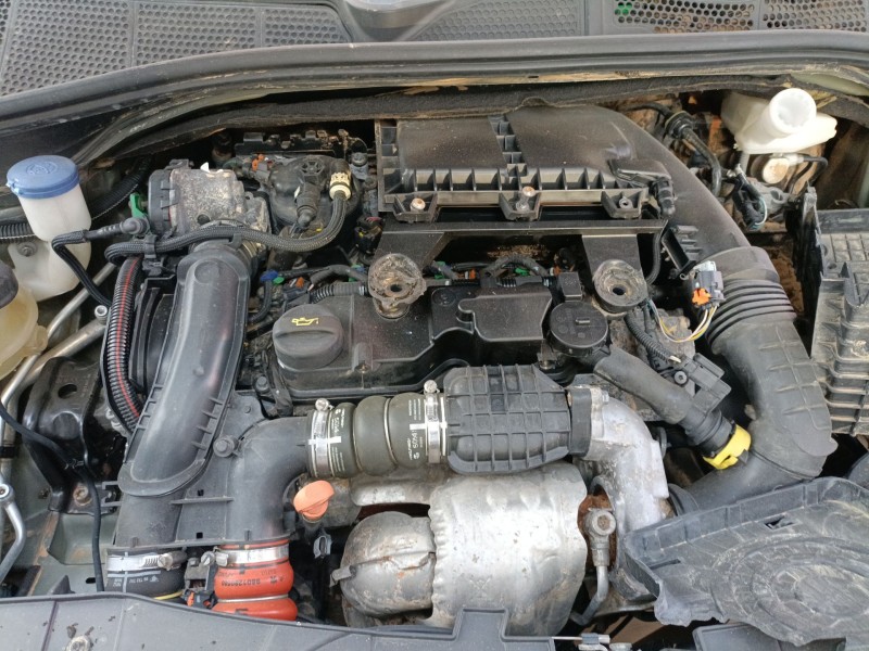 citroën c4 cactus del año 2015