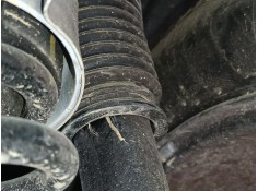 AMORTIGUADOR TRASERO DERECHO 