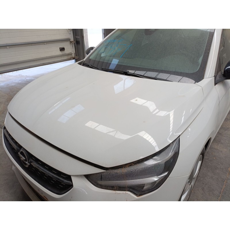 Recambio de capot para opel corsa f (p2jo) 1.2 (68) referencia OEM IAM   