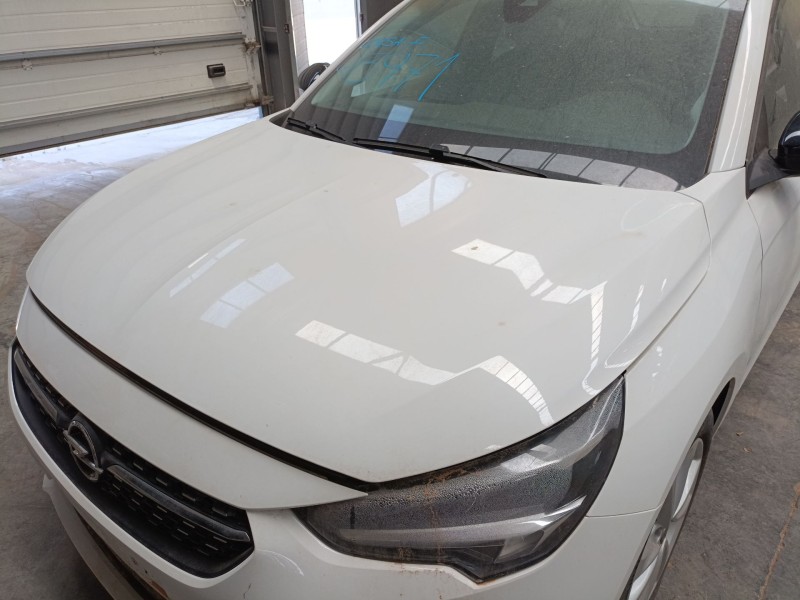 Recambio de capot para opel corsa f (p2jo) 1.2 (68) referencia OEM IAM   