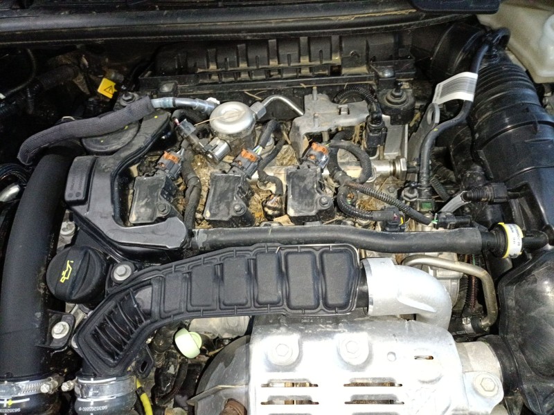 opel corsa f (p2jo) del año 2024