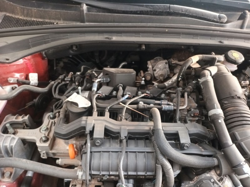 kia ceed (cd) del año 2024