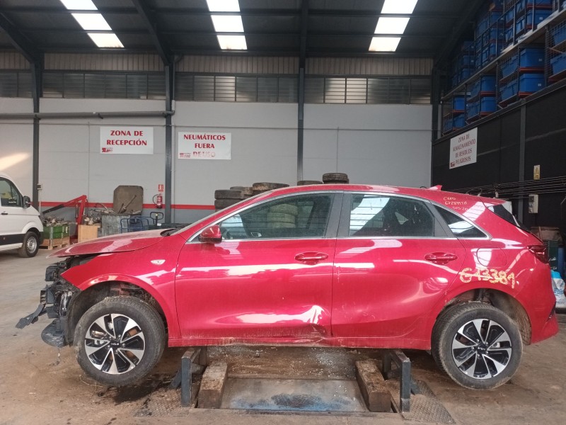 kia ceed (cd) del año 2024