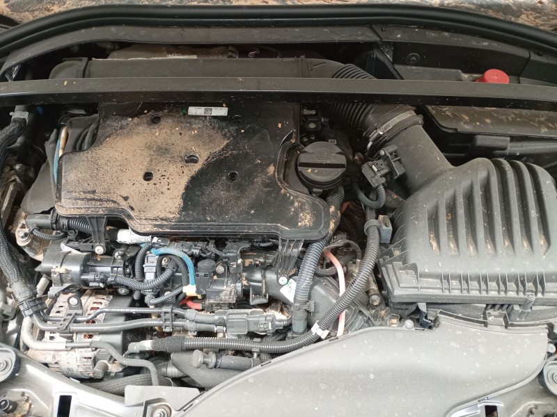 bmw 1 (f40) del año 2024