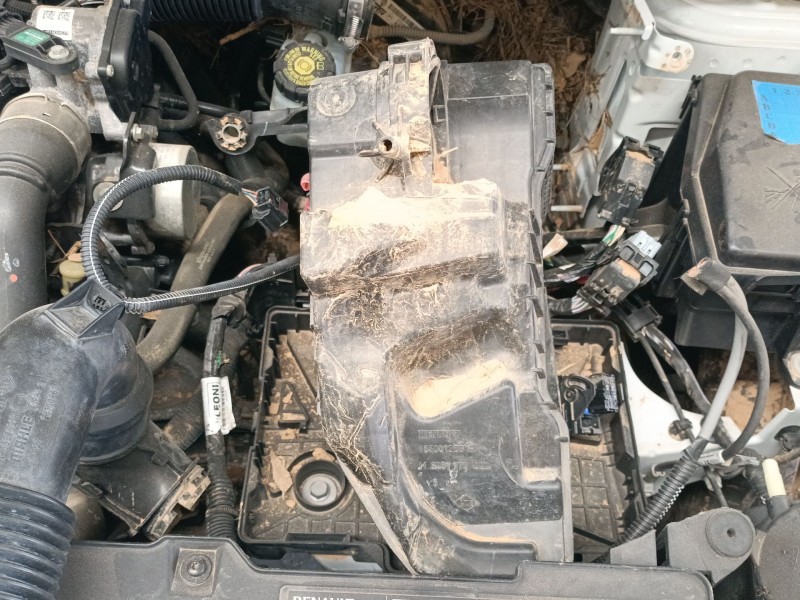 Recambio de filtro aire para renault clio iv (bh_) 1.5 dci 75 referencia OEM IAM   