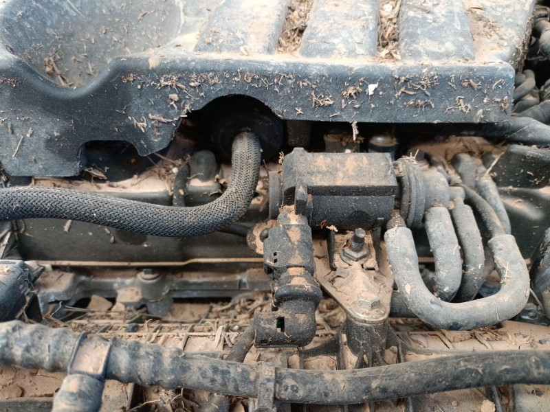 ford puma (j2k, cf7) del año 2020