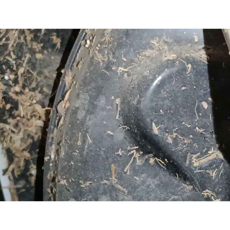 Recambio de servofreno para ford puma (j2k, cf7) 1.0 ecoboost mhev referencia OEM IAM   