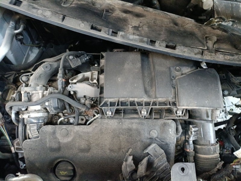 opel grandland / grandland x (a18, p1uo) del año 2020