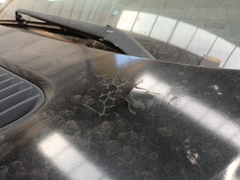 Recambio de capot para bmw x5 (e53) 3.0 d referencia OEM IAM   