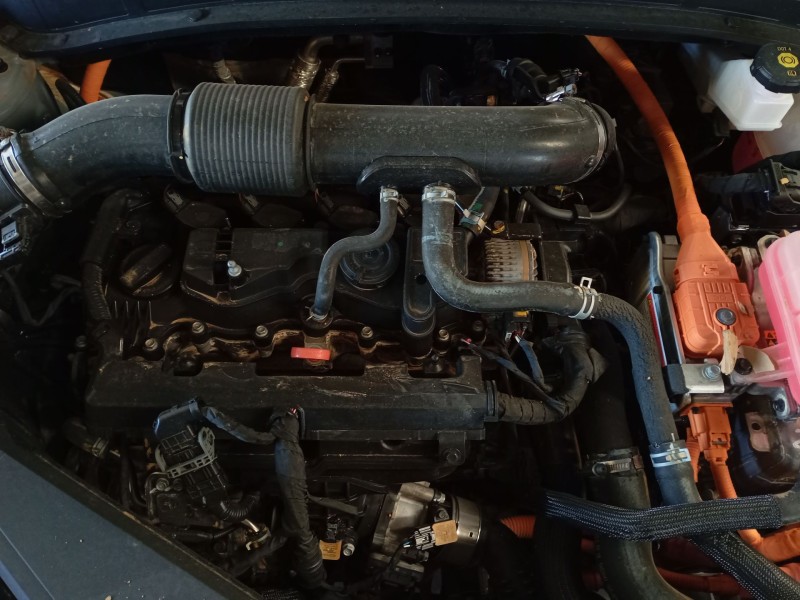 kia sportage v (nq5) del año 2021