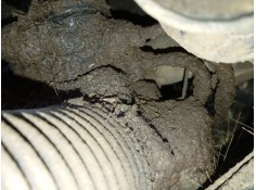 CREMALLERA DIRECCION 